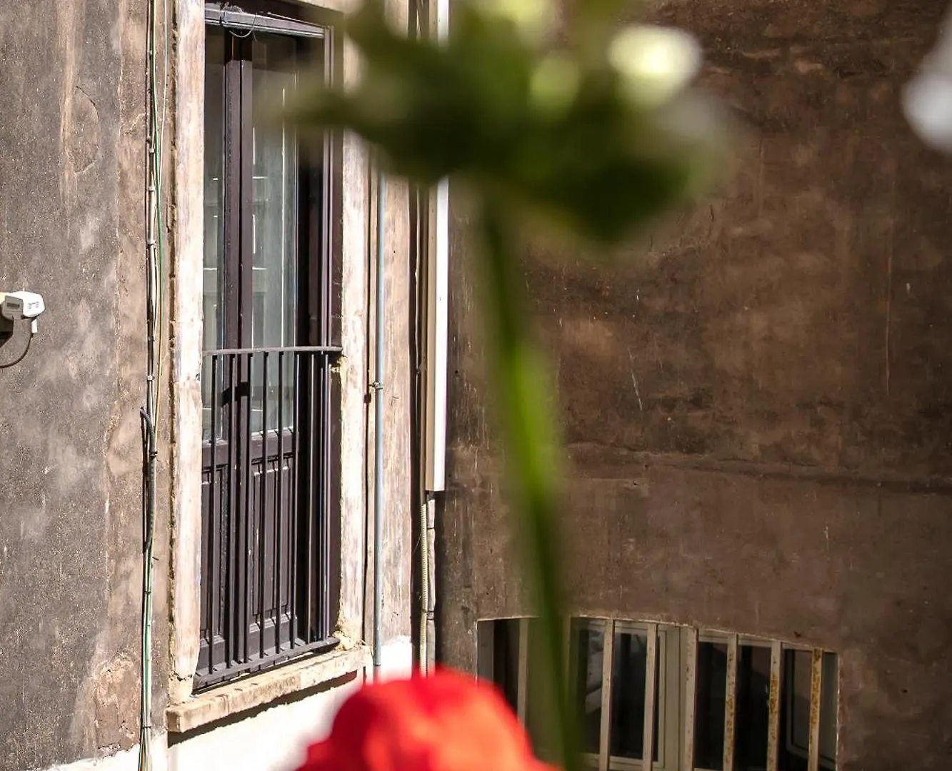 Zagara Luxury Home Catania Apartment